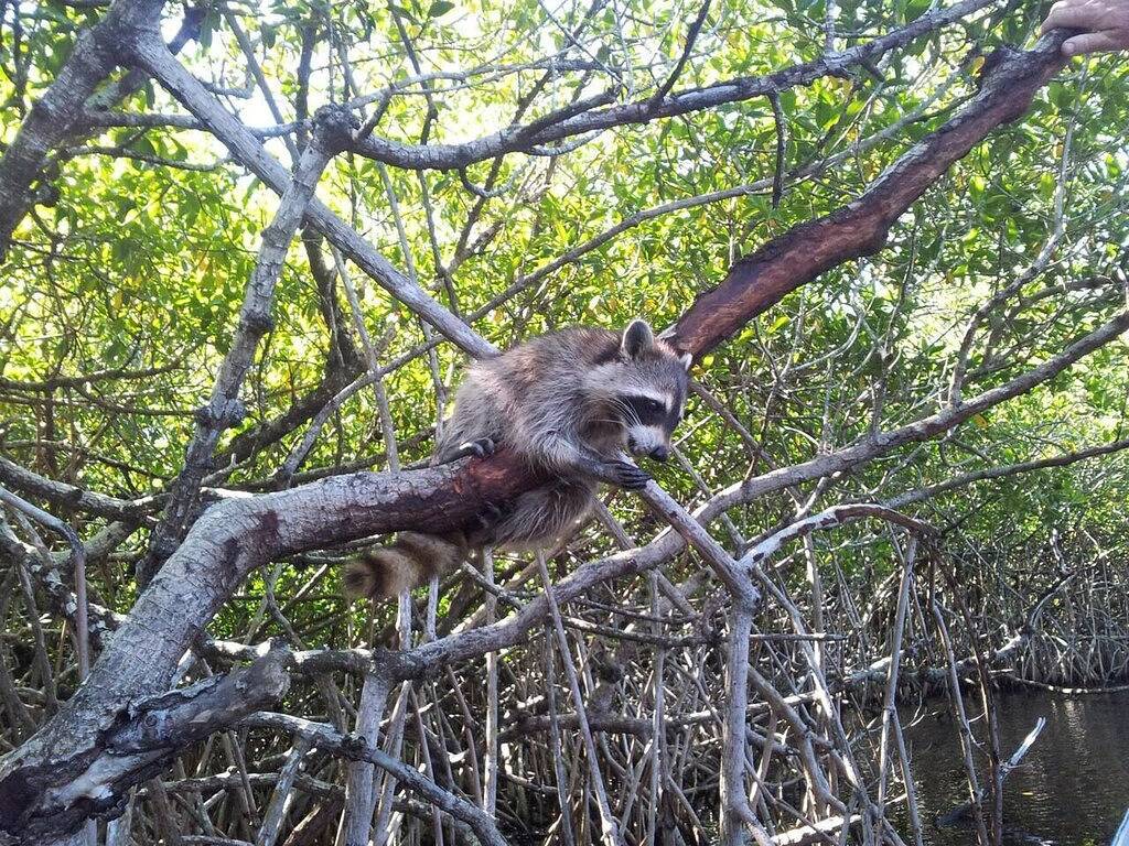 Cozy Port St Lucie getaway. Lanai Plus Private Heated Pool & Private Gardens in Port St. Lucie, St. Lucie County