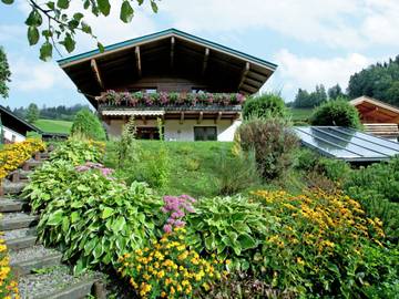 Vakantieappartement voor 8 Personen in Viehhofen, Kitzbüheler Alpen, Afbeelding 1