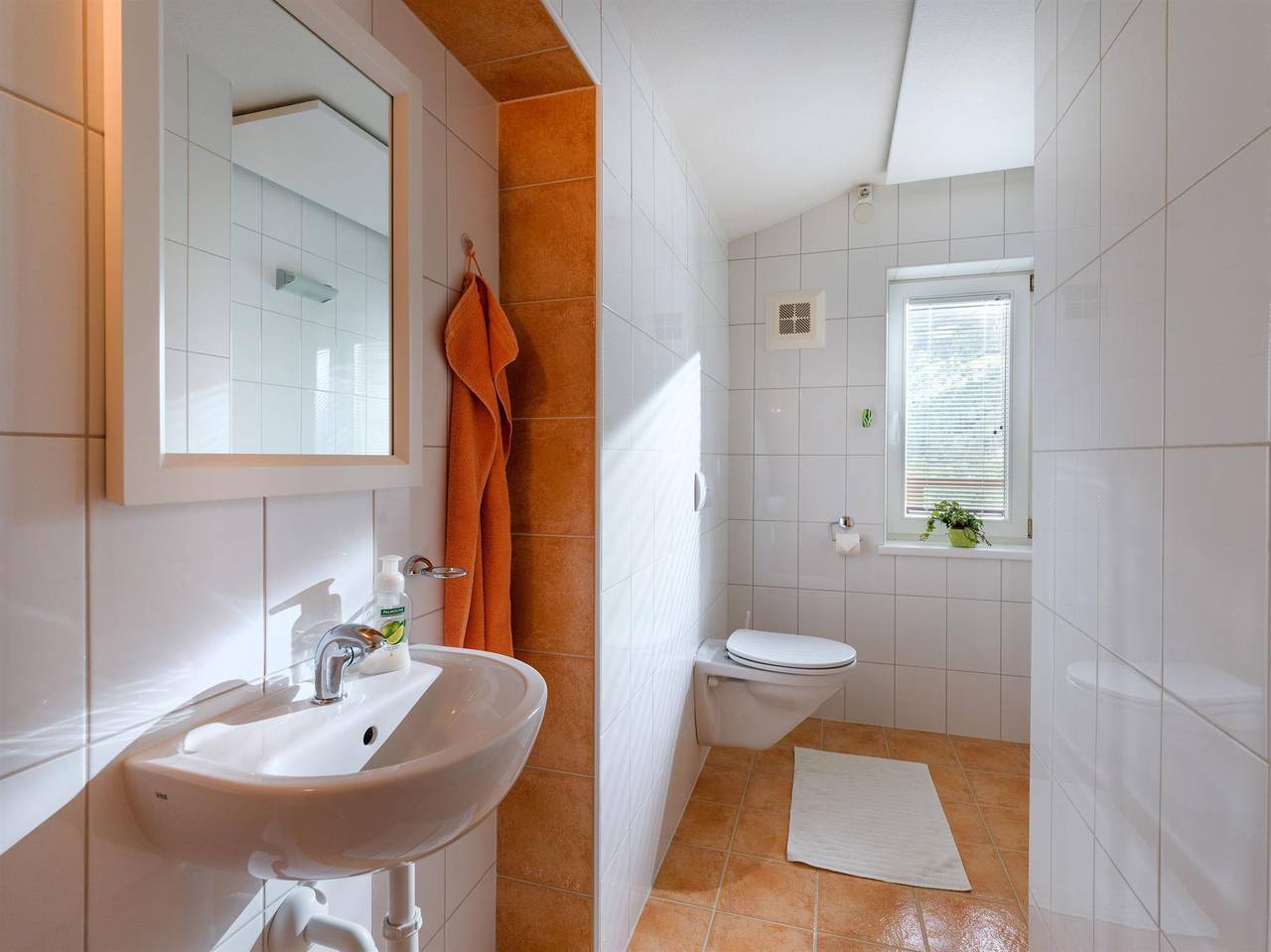 Ganze Ferienwohnung, Appartement Ahorn in Zell am Ziller, Zillertaler Alpen
