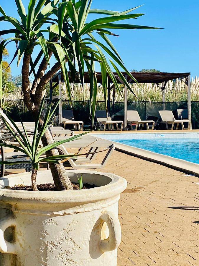 Hôtel pour 2 personnes, avec piscine et jardin à Fourques - 2