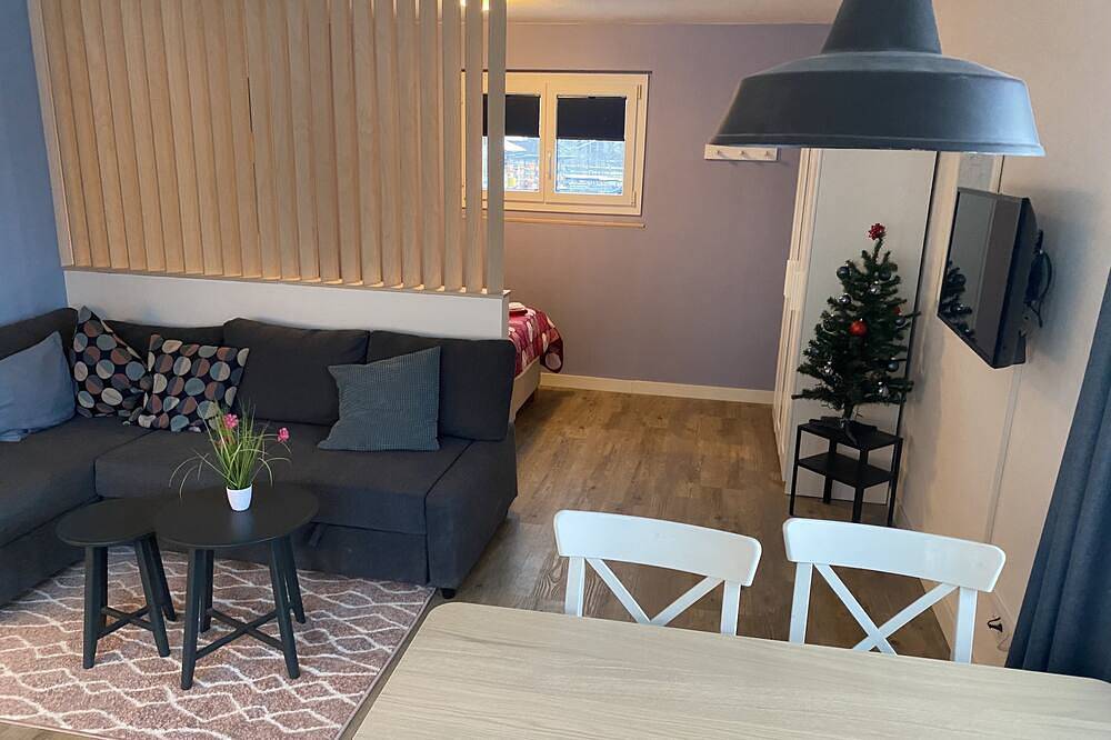 Ganze Wohnung, Modern studio in 1970s house in Haslital in Schattenhalb, Berner Oberland