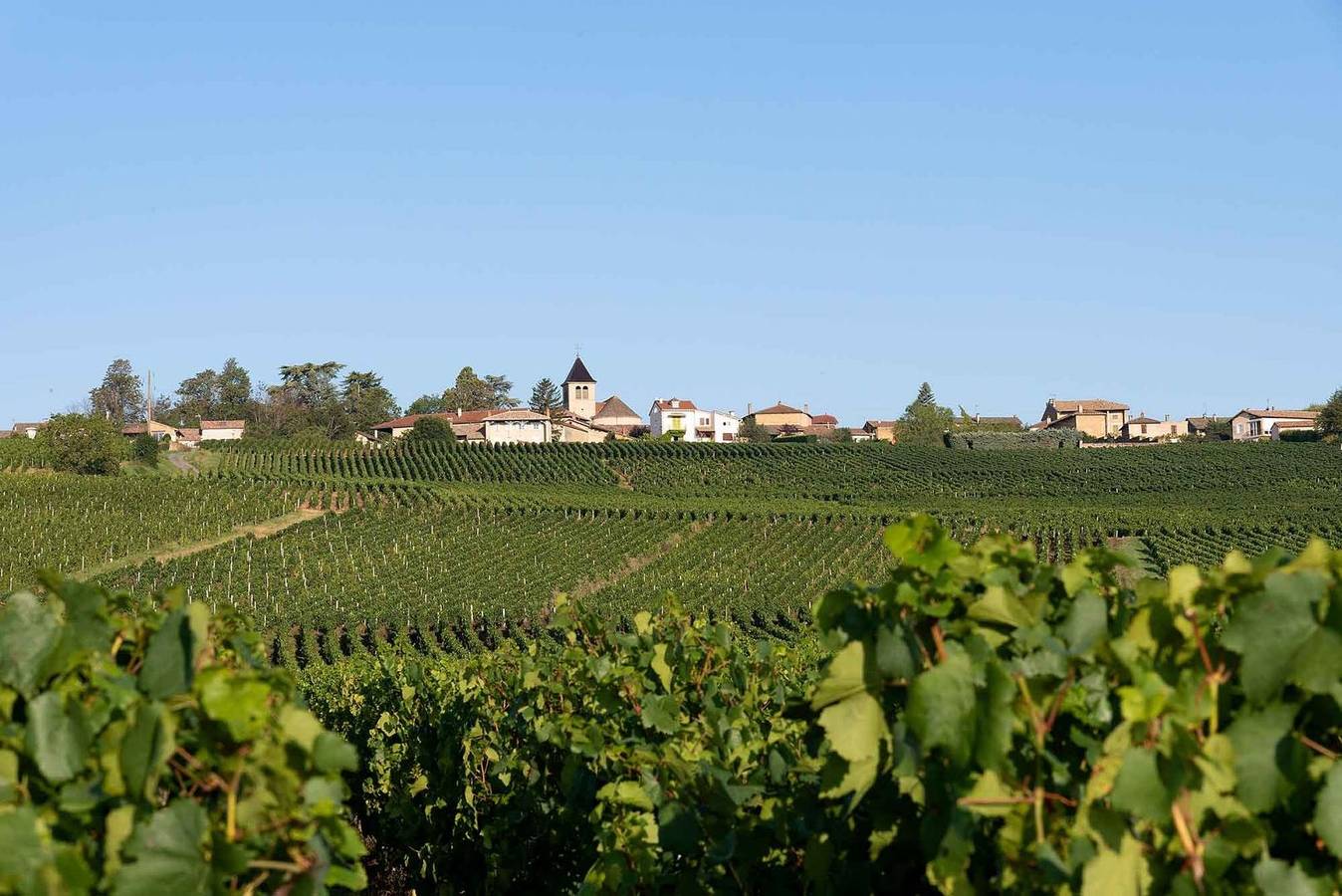 De Pierre et de Vigne in Chaintré, Région de Mâcon