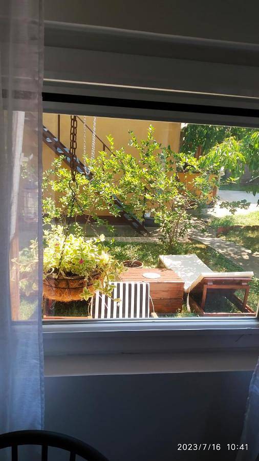 Location de vacances pour 2 personnes, avec jardin et vue à Kladovo - 2
