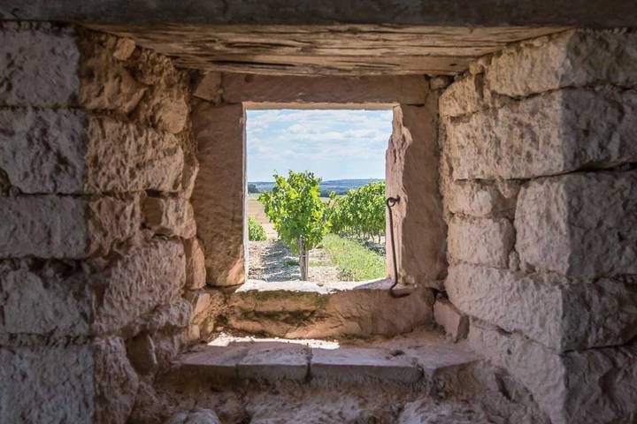 Gîte für 2 Personen, mit Terrasse in Südfrankreich - 4