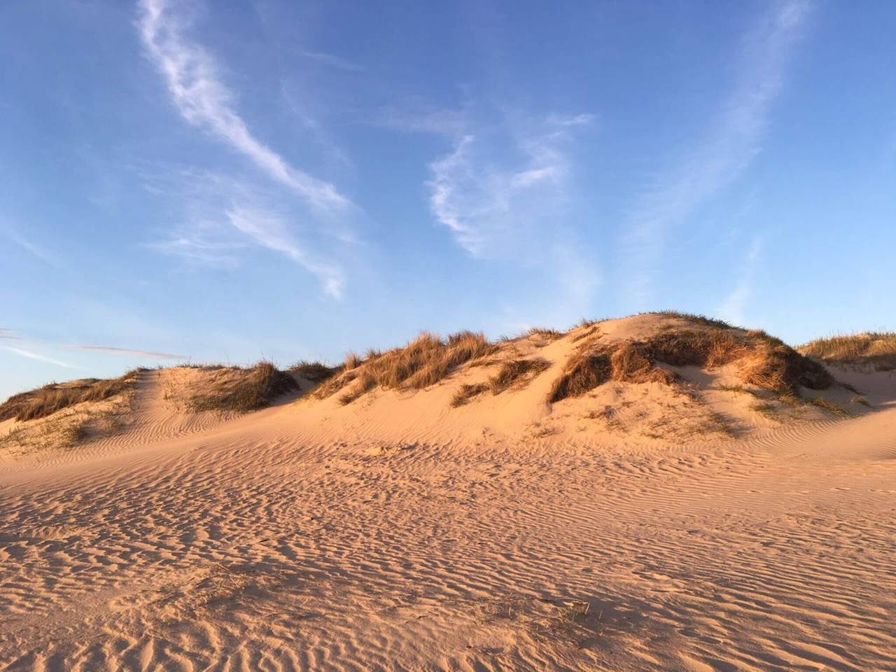 Strandparadies in Lakolk in Lakolk, Rømø
