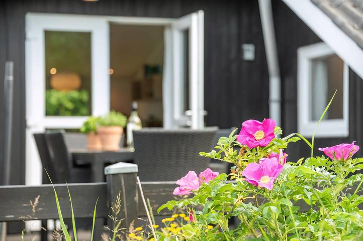 Ferienhaus für 6 Personen, mit Whirlpool und Sauna sowie Terrasse auf Rømø - 4