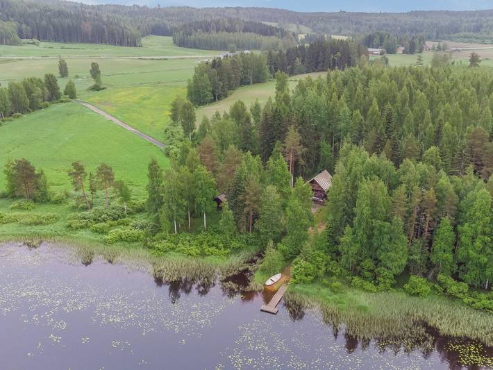 Joutsen in Pirkanmaa