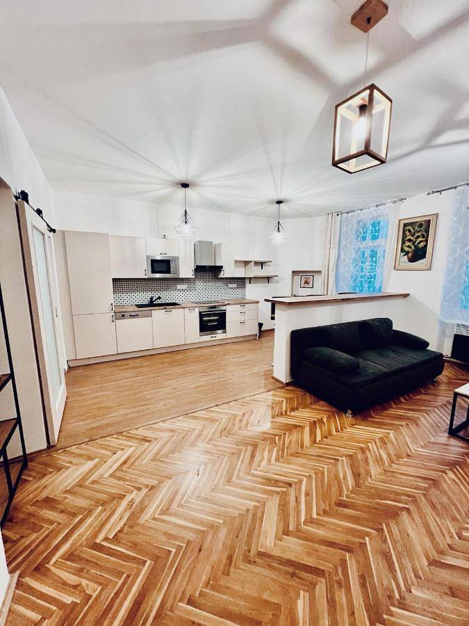 Ferienwohnung für 3 Personen, mit Haustier in Vinohrady