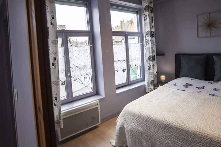 Gîte pour 3 personnes, animaux acceptés à Bergues - 4