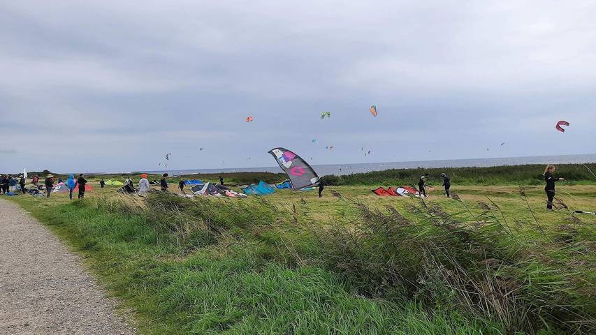 Ferienhaus für 7 Personen, mit Terrasse und Sauna, mit Haustier in Holmsland Klit - 3