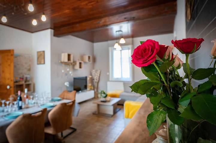 Location de vacances pour 7 personnes, avec jardin et terrasse, animaux acceptés dans Wittes