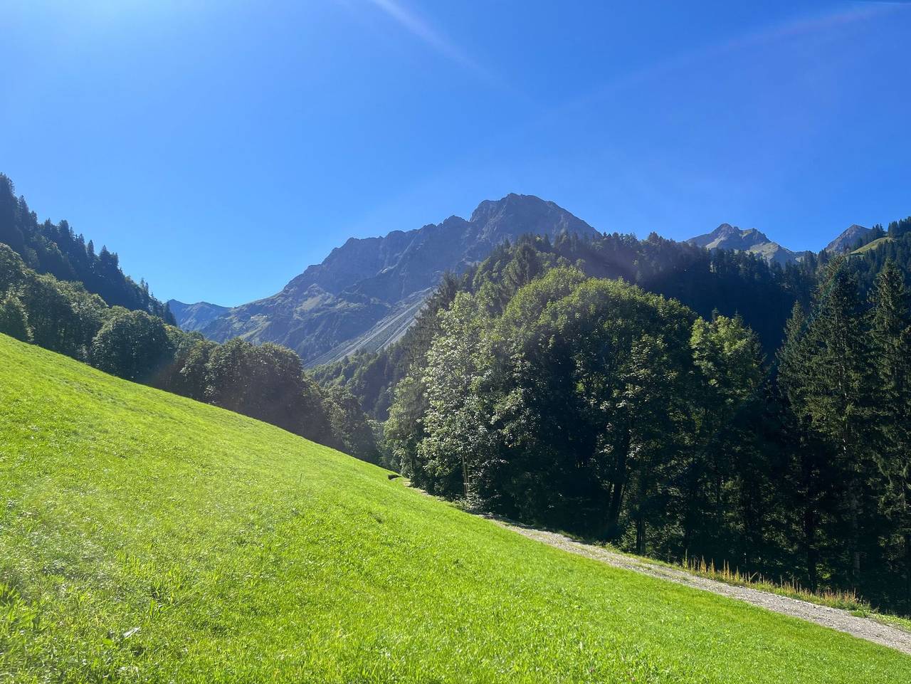 Hütte Üntschele 73 in Schoppernau, Bregenzerwald