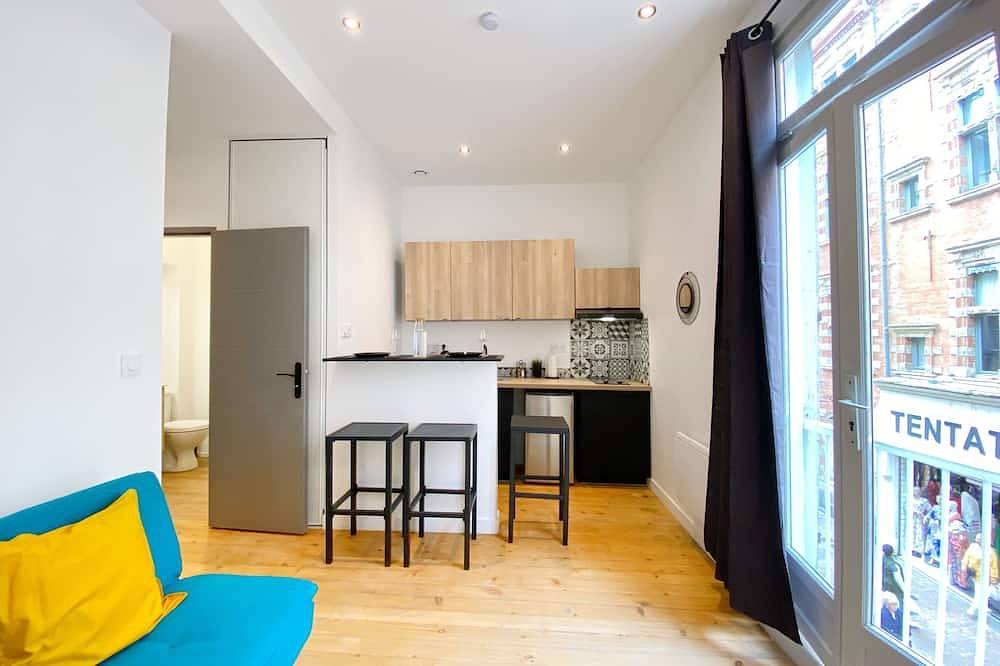 Geheel appartement, Hypercentre Toulouse 3 : furnished and equipped apartment in Capitole (Toulouse), Toulouse