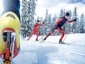 Hütte für 2 Personen in Mittersill, Pinzgau, Bild 4