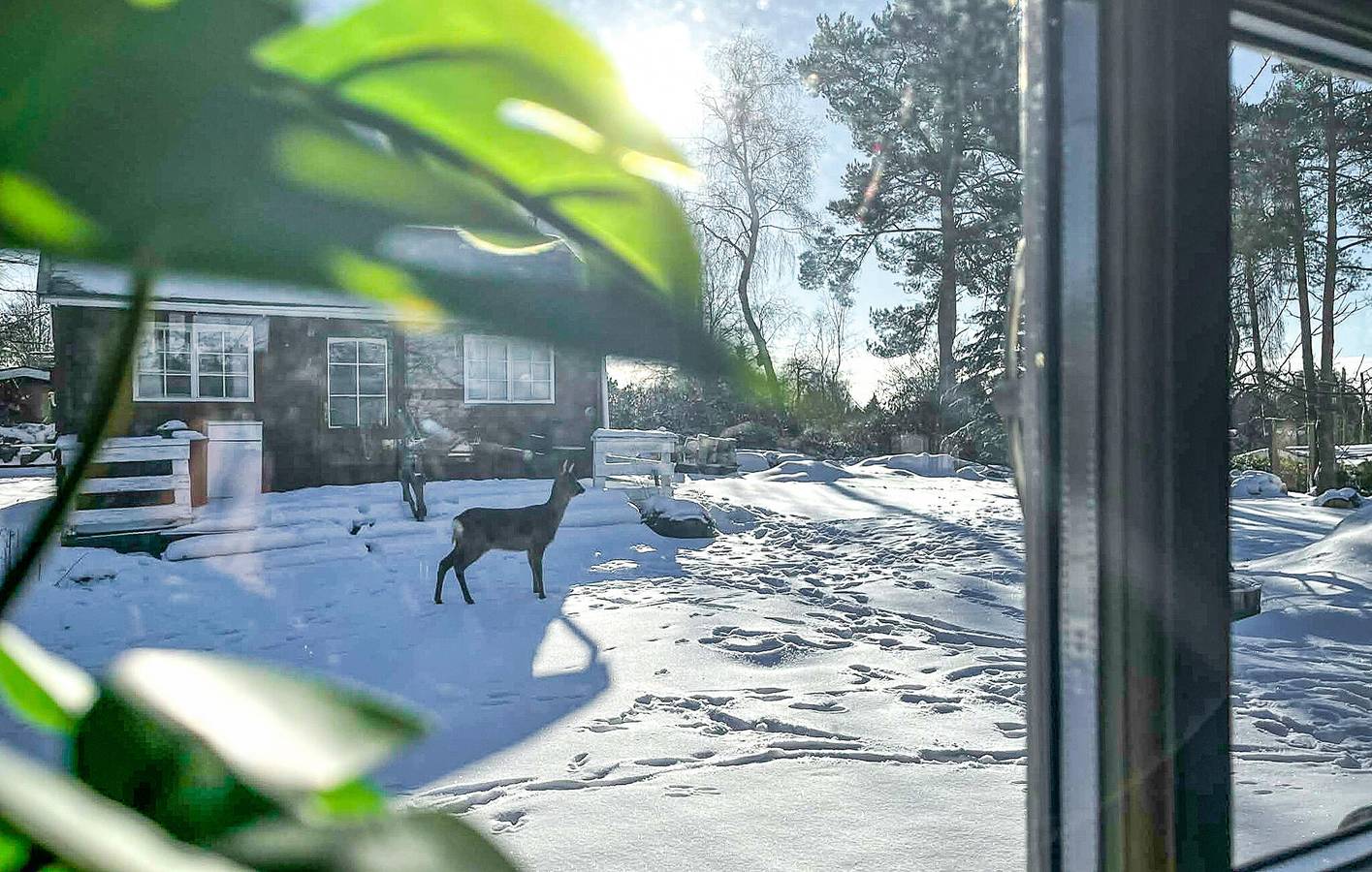 Ferienhaus für 4 Personen mit Terrasse in Bakkebølle, Vordingborg