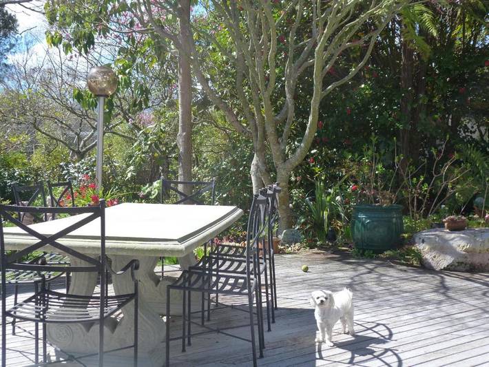 Chambre d’hôte pour 2 personnes, avec terrasse ainsi que jardin et vue, animaux acceptés à Taupo - 4