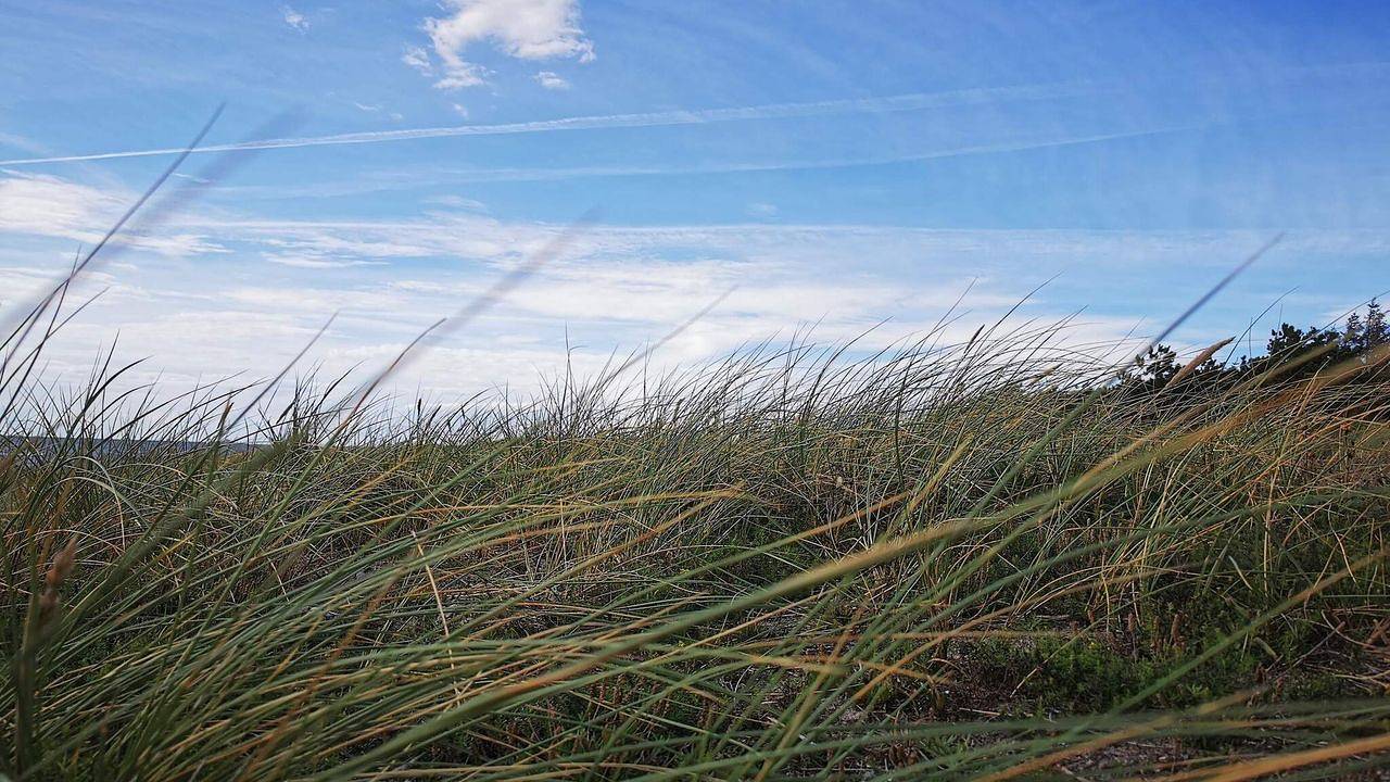 Ferienhaus für 4 Personen (44 m²) in Rødby in Hyldtofte Østersøbad, Rødby