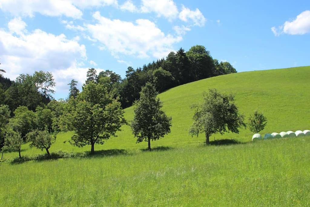 Ganze Wohnung, Two-Bedroom Apartment in Kirchschlag in der Buckligen Welt, Wiener Alpen in Niederösterreich