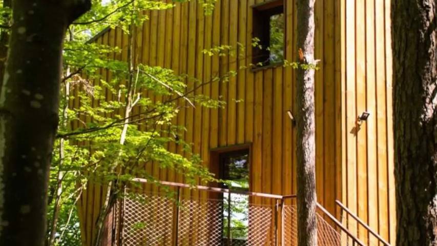 Appartement de vacances pour 5 personnes, avec piscine et terrasse dans Lozère - 4