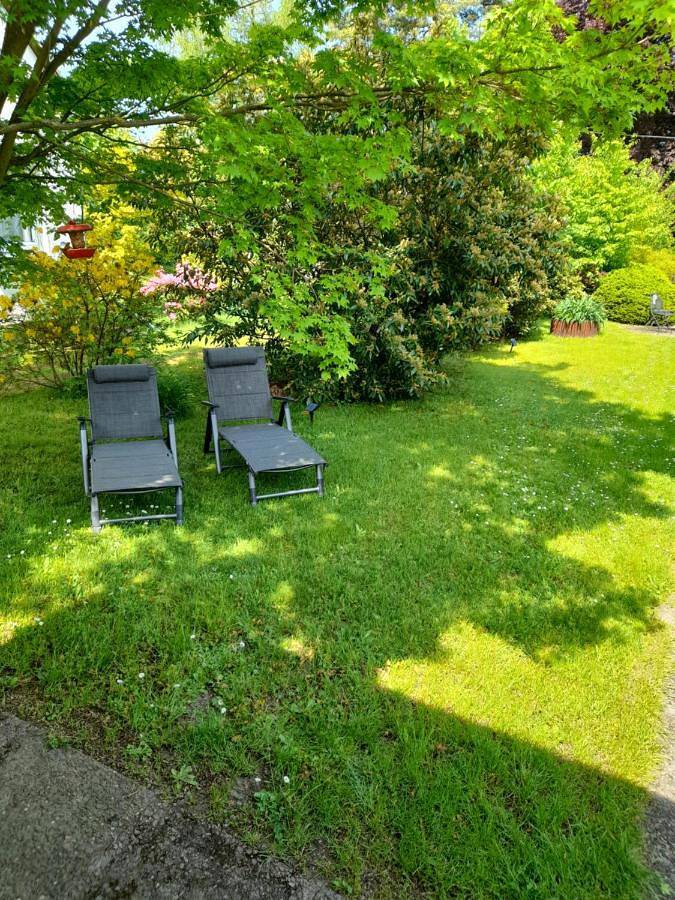 Ferienwohnung für 2 Personen, mit Balkon und Terrasse sowie Garten in Gohrisch - 4