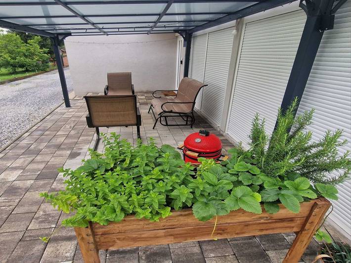 Vacation Home Rose - Holiday Home with Terrace in Kutjevo, Pozega-Slawonien