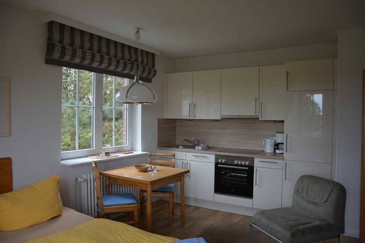 Ganze Wohnung, Kleine helle Ferienwohnung mit Blick auf die Mühle in Nordfriesische Inseln (Schleswig-Holstein) (Schleswig-Holstein), Nebel