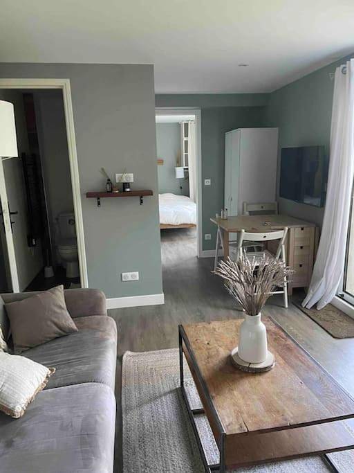 Gîte pour 4 personnes, avec terrasse et jardin, animaux acceptés à Le Plessis-Robinson - 4