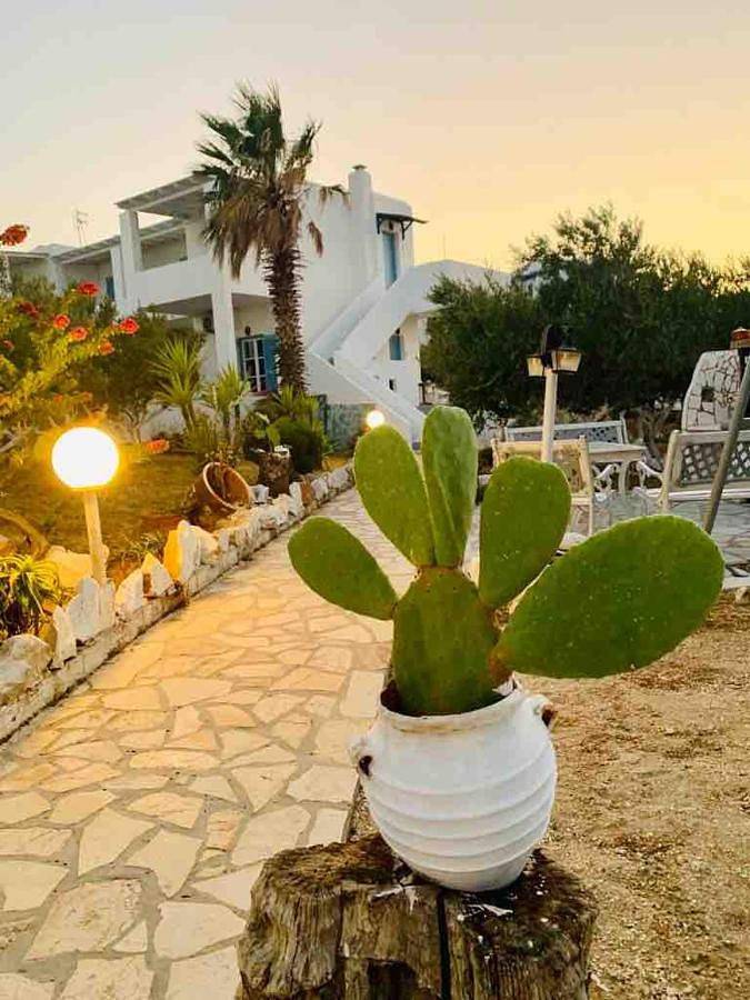 Stavros Studios in Paros