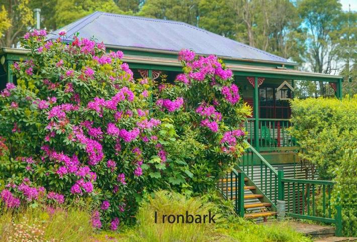 Chambre d’hôte pour 2 personnes, avec jardin et vue à Melbourne - 2