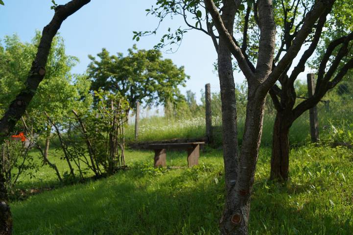 Ferienhaus für 6 Personen, mit Garten, mit Haustier in Thüringische Rhön - 4