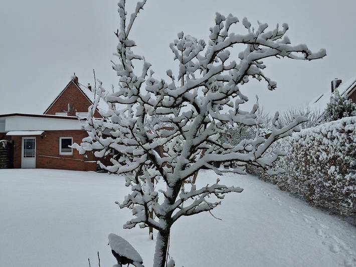 Ferienwohnung für 4 Personen, mit Terrasse und Garten in Ostrhauderfehn - 3