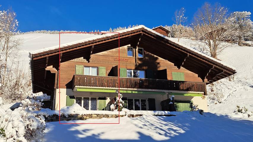 Ganze Ferienwohnung, Ferienwohnung für 8 Personen mit Sauna in Lenk, Frutigen - Lenk - Adelboden