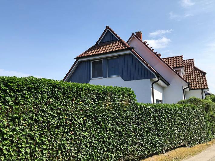 Ferienhaus für 7 Personen, mit Garten in Zingst - 3