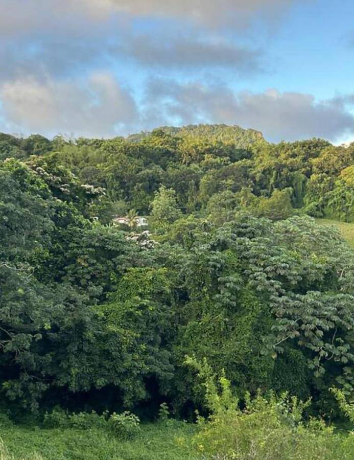 Appartement de vacances pour 2 personnes, avec jardin ainsi que vue et terrasse
