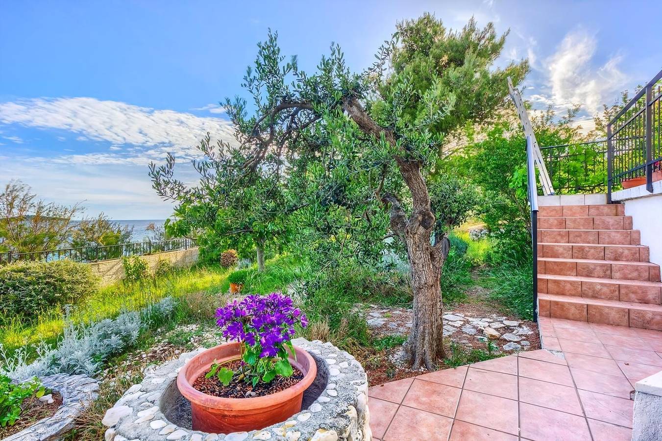 Ganze Wohnung, Apartment Robi in Bribir, Primorje-Gorski Kotar