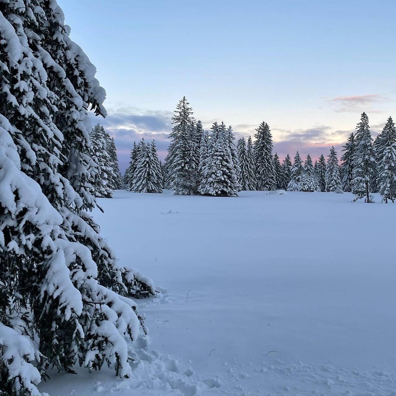 Ganze Ferienwohnung, Appartement - La Doline - Ferienwohnung - La Doline (Le Peu-Péquignot), 4 Personen, 2 Räume in Le Noirmont, Kanton Jura