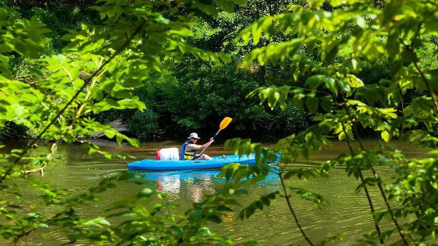 Camping pour 4 personnes, avec terrasse et piscine, animaux acceptés dans l' Aveyron - 4