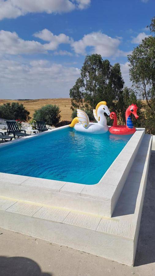 Location de vacances pour 6 personnes, avec vue ainsi que jardin et piscine, animaux acceptés à Castro Verde - 2