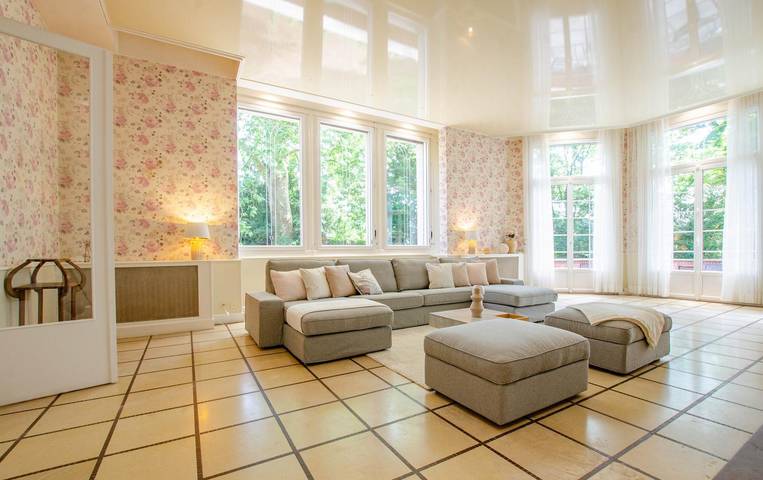 Gîte pour 15 personnes, avec jardin et terrasse, animaux acceptés dans Lac d'Orient - 4