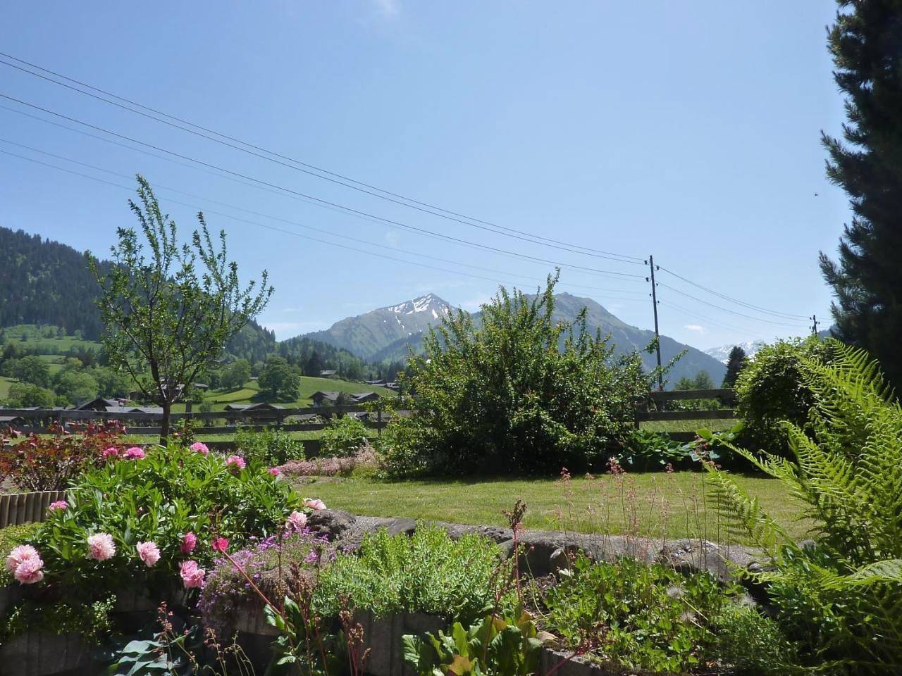 Ganze Wohnung, Apartment - Ground Floor in Gstaad, Saanen