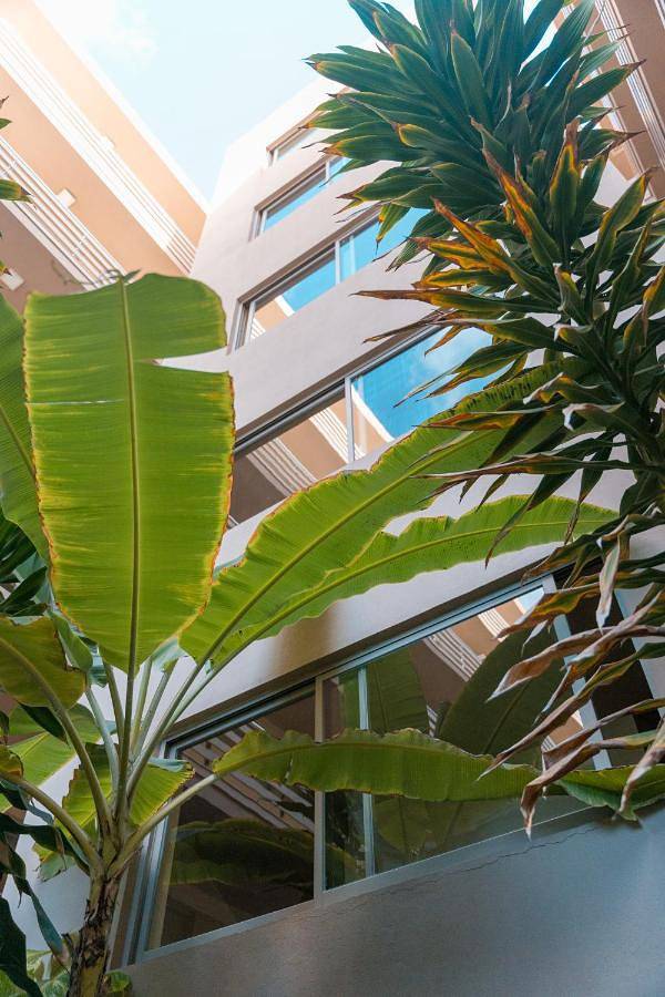 Location de vacances pour 4 personnes, avec piscine et vue ainsi que jardin et bassin pour enfant, animaux acceptés dans Cap-Vert - 2