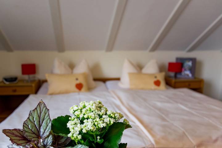 Hütte für 2 Personen, mit Terrasse und Garten an der Mosel - 4