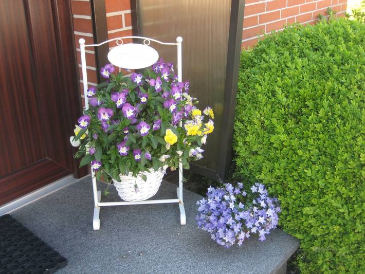 Ferienwohnung für 2 Personen, mit Balkon und Terrasse in Büsum - 3