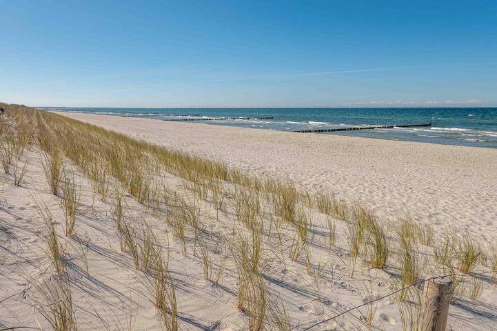 Ferienhaus für 6 Personen, mit Garten und Terrasse, mit Haustier in Pruchten - 2