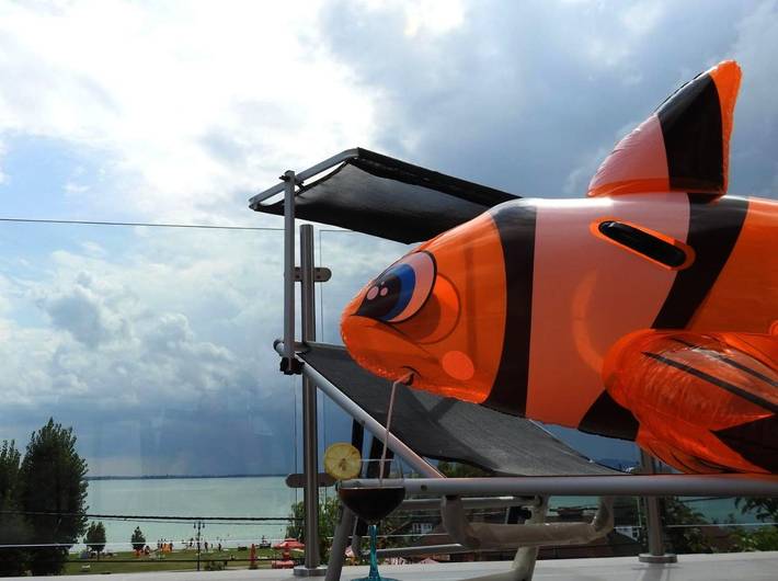 Ferienhaus für 8 Personen, mit Terrasse und Seeblick sowie Garten und Ausblick in Revfülöp