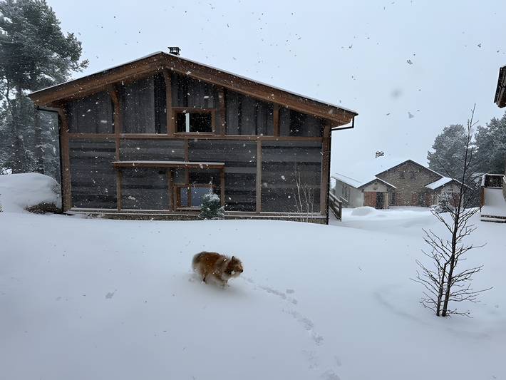 Chalet für 8 Personen, mit Sauna und Garten in Occitanie - 3
