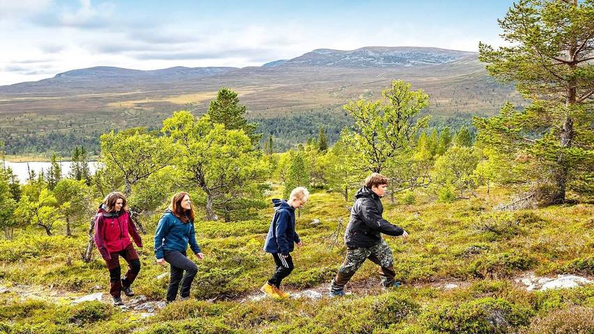 Ferienhaus für 13 Personen, mit Balkon und Sauna in Idre - 4