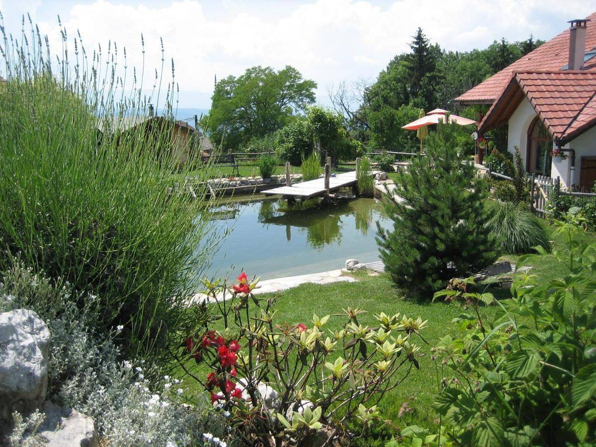 Lacustrebnb in Choisy, Région d'Annecy