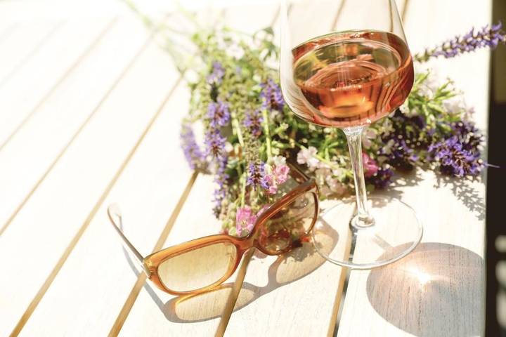 Hôtel pour 2 personnes, avec terrasse et vue, animaux acceptés dans Landau in der Pfalz - 3