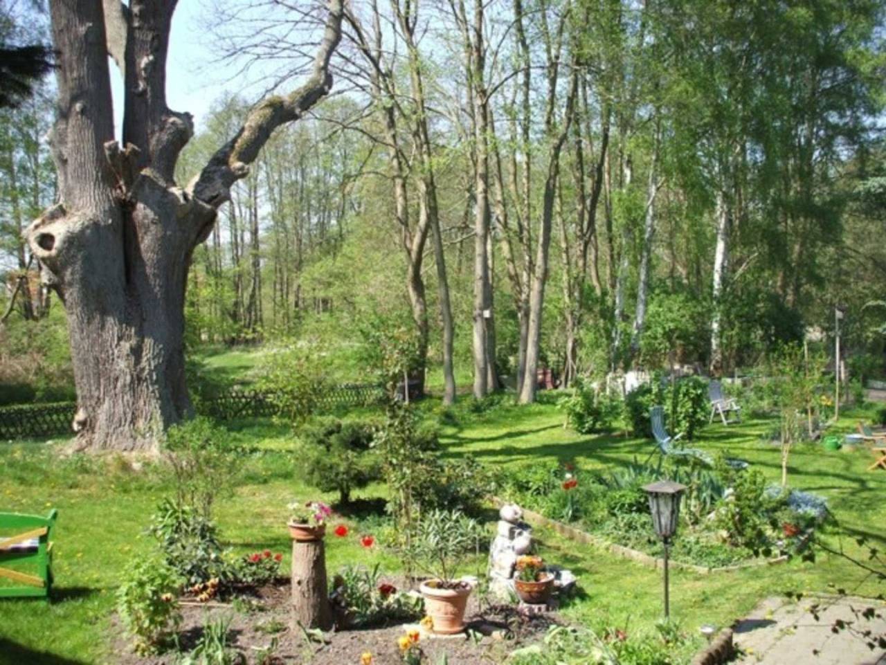 Ganze Ferienwohnung, Ferienwohnung Am Mühlbach in Mühl Rosin, Mecklenburgische Seenplatte